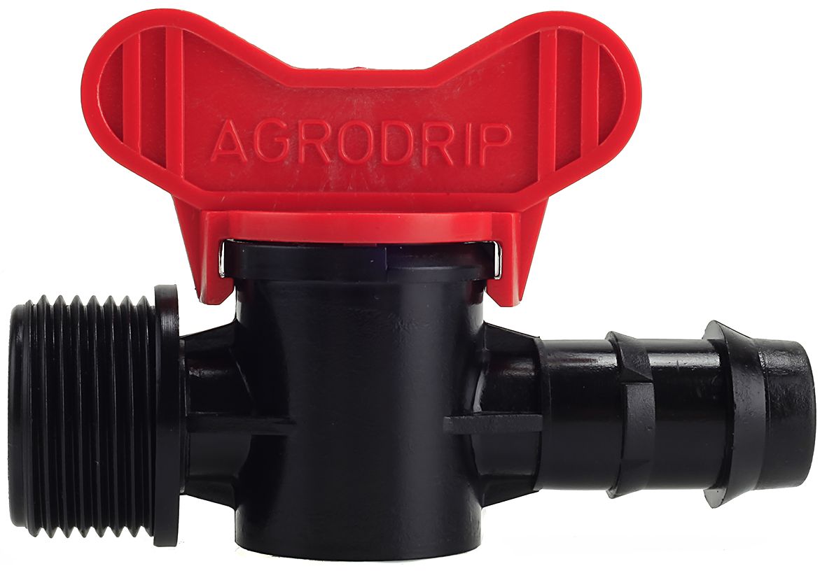 ΒΑΝΑΚΙ ΝΙΠΕΛ ΦΙΣ