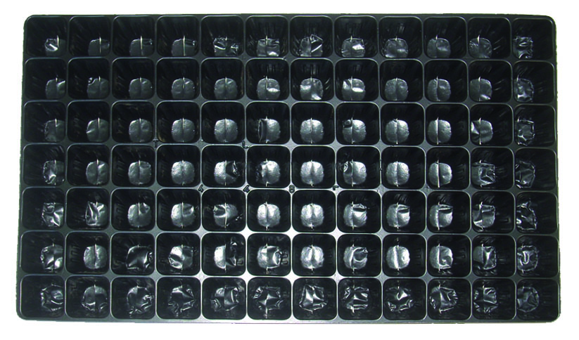 ΔΙΣΚΟΣ ΦΥΤΩΡΙΟΥ ΤΙΡΟ